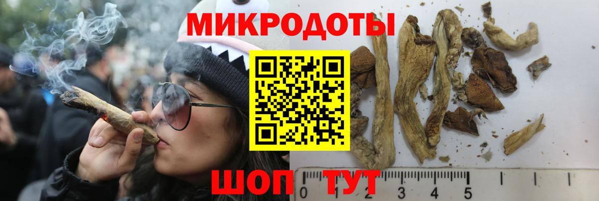 Псилоцибиновые грибы ЛСД  Вход с VPN  Киржач  Псилоцибиновые грибы мицелий 